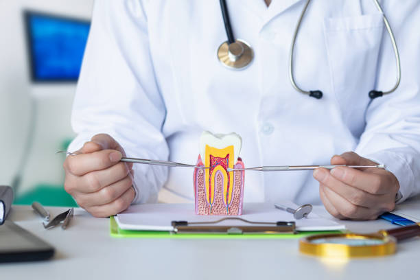 Best Dentist for Tooth Abscess  in Blackfoot, ID
